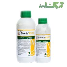 افوریا سینجنتا Eforia