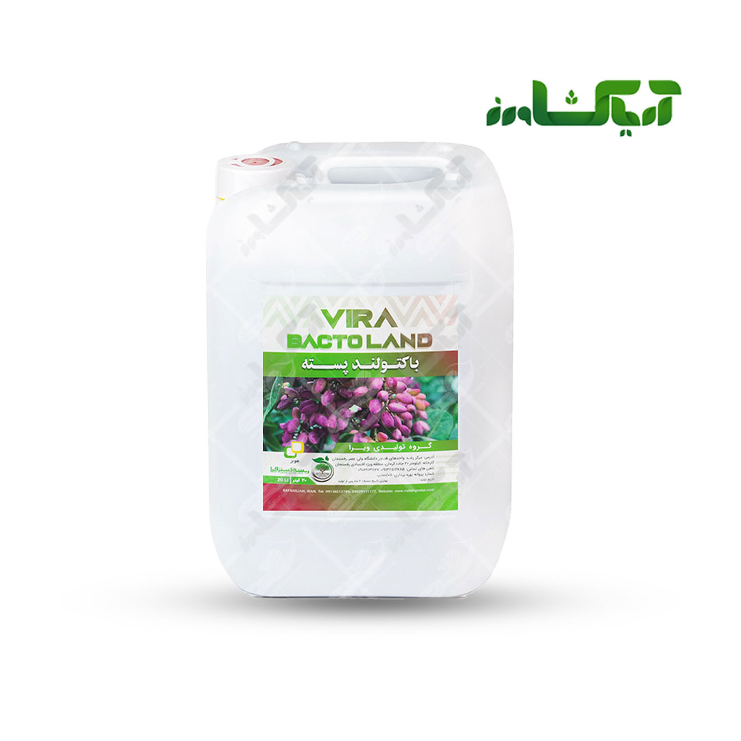 باکتولند پسته