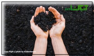 کودهای آلی فرآوری شده